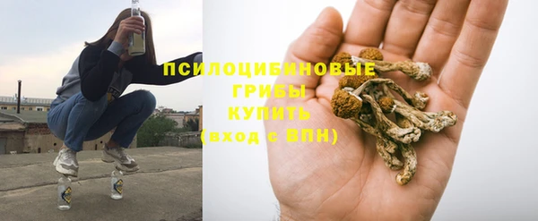молекула духа Заводоуковск