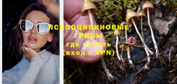 ALPHA PVP Ельня