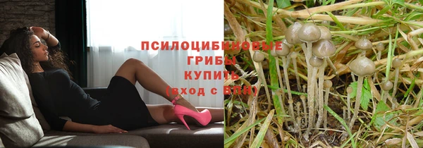 молекула духа Заводоуковск